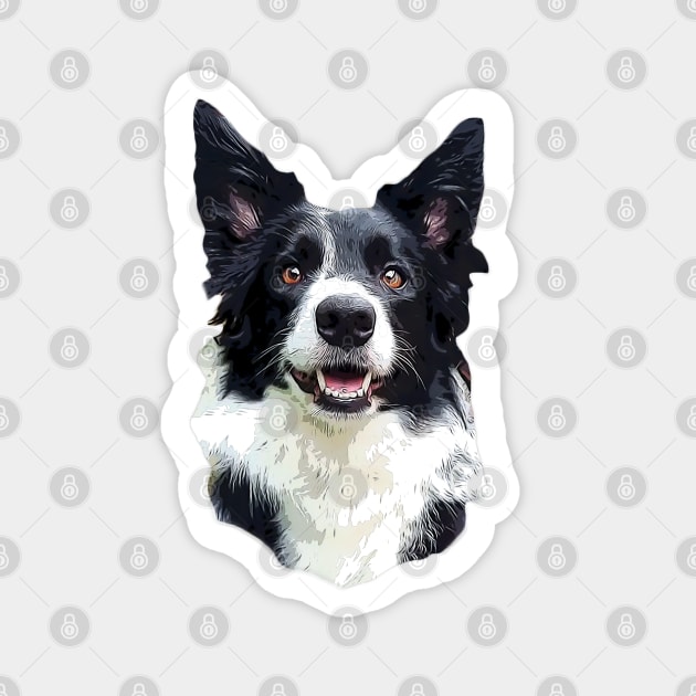Border collie stickers for cars sales